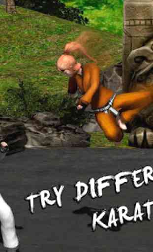 Karate Fighting Tiger 3D 2