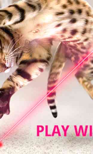 Laser for cat. Simulator 1