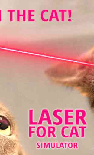 Laser for cat. Simulator 2