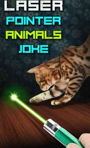 Laser Pointer Animals Joke 1