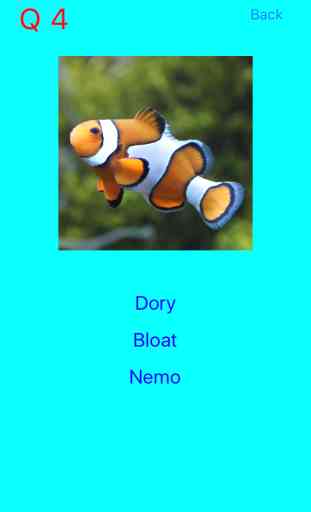 Who Is This ? for Nemo & Dory 1