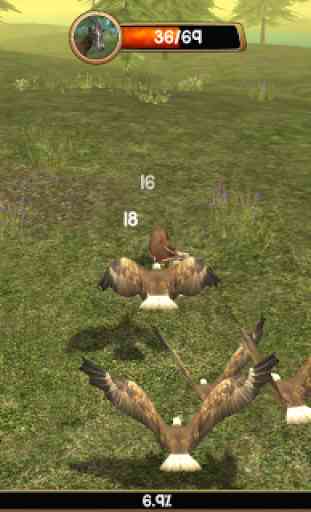 Wild Eagle Sim 3D 2