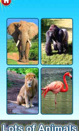 Zoo Sounds Free - A Fun Animal Sound Game for Kids 2