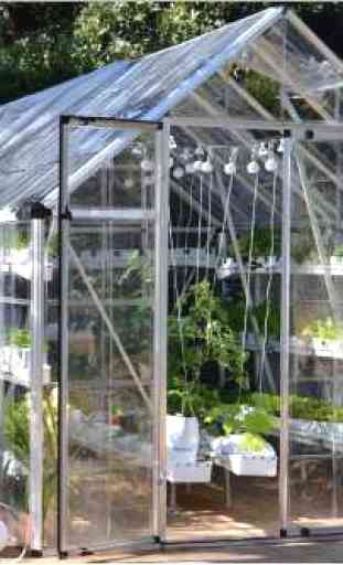 Agriculture Hydroponics 2