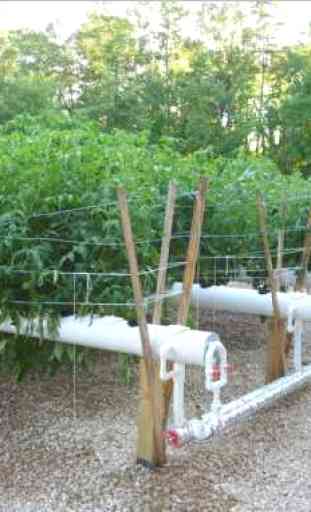 Agriculture Hydroponics 3