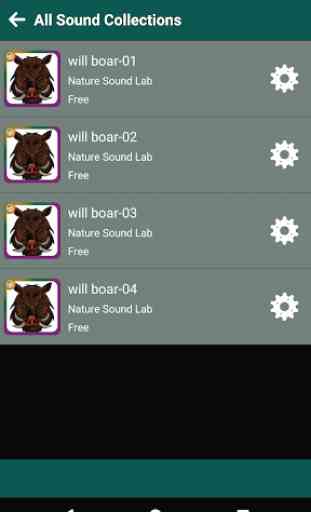 Best Wild Boar Hunting Calls Mp3 HD 3