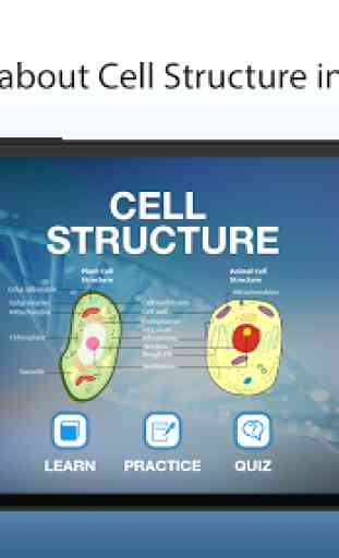 Biology Cell Structure 1