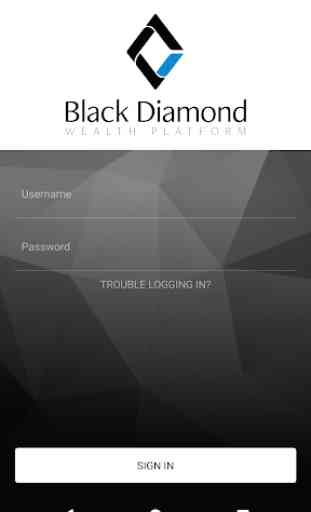 Black Diamond Wealth Platform 1