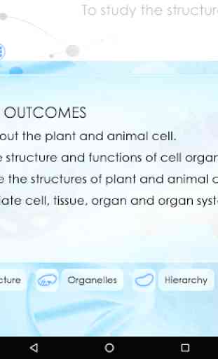 Cell Organelles - Biology 1