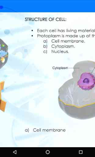 Cell Organelles - Biology 3