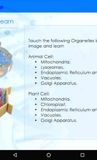Cell Organelles - Biology 4