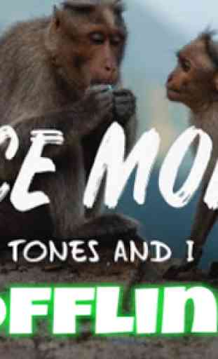 DJ Dance Monkey Music - Tones and I 1