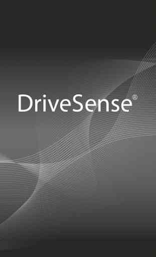 DriveSense 1