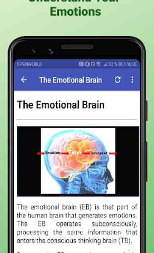 Emotional Intelligence EQ IQ 3