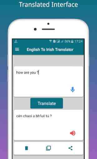 English To Irish Translator 1