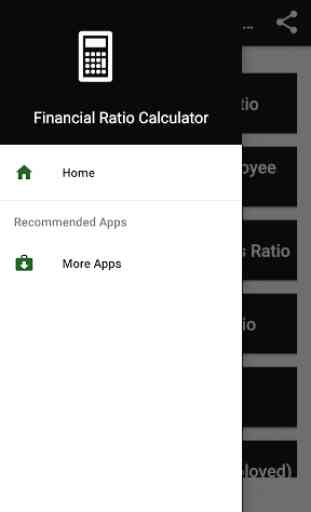 Financial Ratio Calculator 4