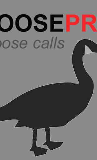 Goose Calls for Goose Hunting 1