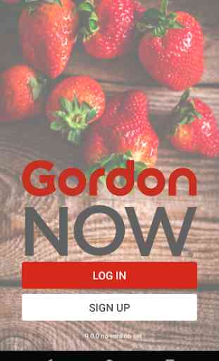 Gordon Now 1
