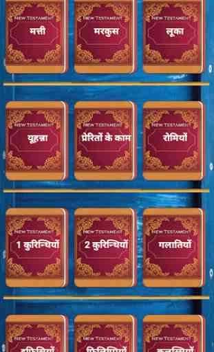 Hindi Bible (ERV-HI )  Easy-to-Read Version 3