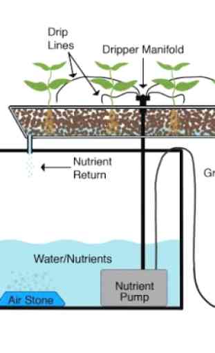 hydroponic grow system 1