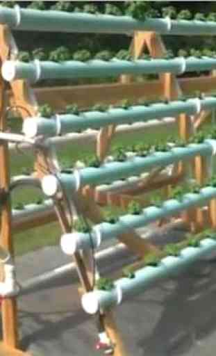 hydroponic grow system 3