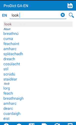Irish - English dictionary 2