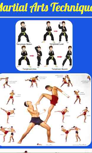 Martial Arts Techniques 1