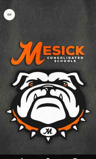 Mesick Consolidated Schools, MI 1