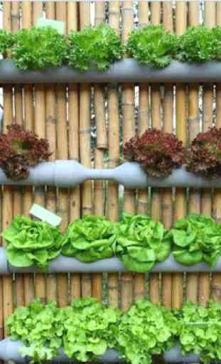 Smart Vegetable Garden 1
