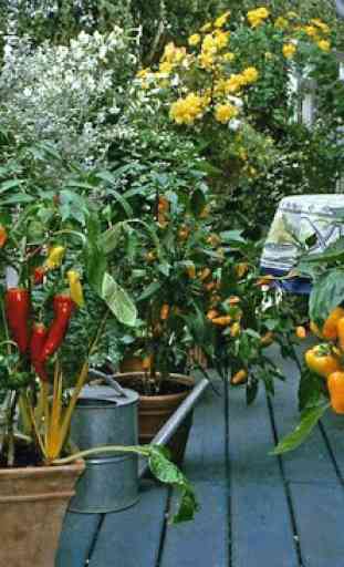 Smart Vegetable Garden 4