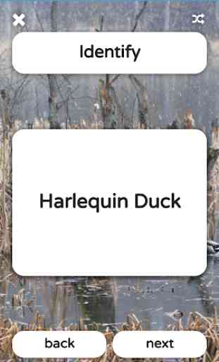 The Duck ID App 4