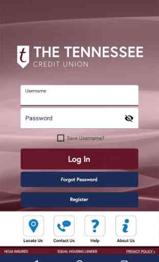 The Tennessee Credit Union 1