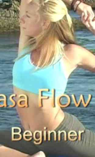 Vinyasa Flow Yoga, Beginner 2