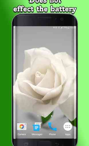 White Rose Live Wallpaper 4