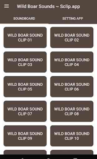 Wild Boar Sound Collections ~ Sclip.app 1