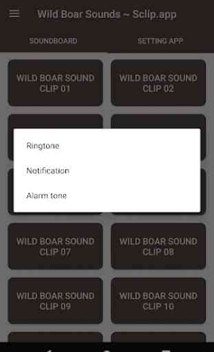 Wild Boar Sound Collections ~ Sclip.app 3