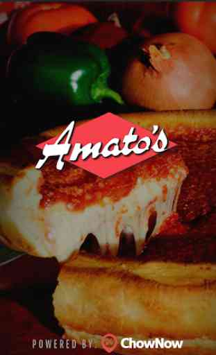 Amato's Pizza Chicago/Elmwood 1
