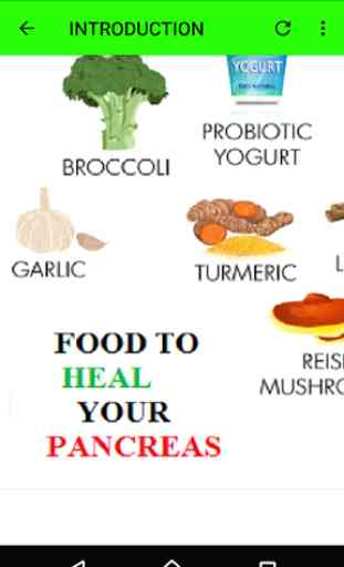 Amazing Foods to Heal Your Pancreas Quicker 4