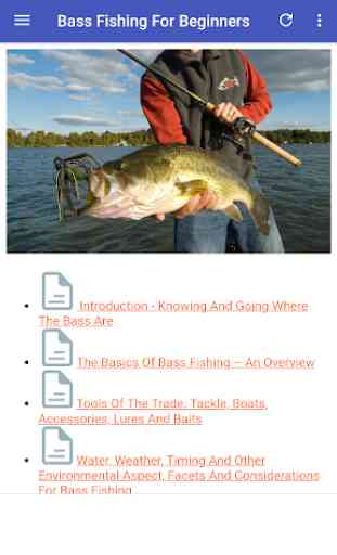 Bass Fishing Guide For Beginners 1
