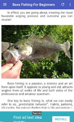 Bass Fishing Guide For Beginners 3