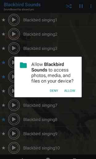 Blackbird (animal) sounds ~ Sboard.pro 2