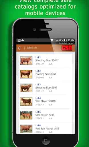 Cattle Sale Network 4