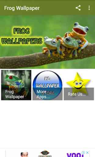 Frog Wallpaper 1