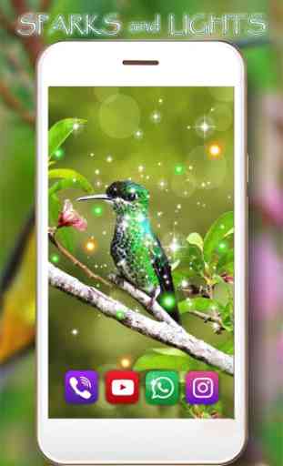 Humming Bird Colibri live wallpaper 4
