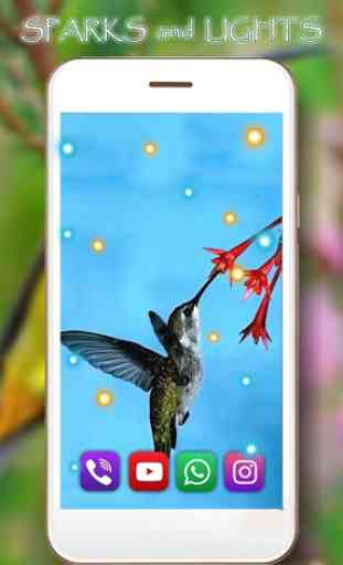 Hummingbird Exotic Live Wallpaper 3