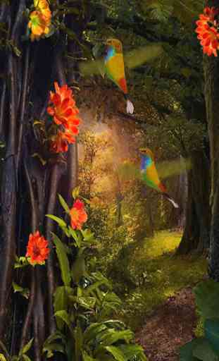 Hummingbirds 3D Live Wallpaper 1