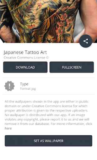 Japanese Tattoo Art 3