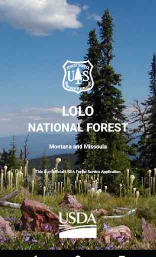 Lolo US National Forest 1