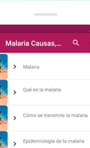 Malaria Causas, síntomas y tratamiento 3