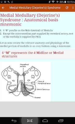 Neurology & Neuroanatomy Mnemonics 2